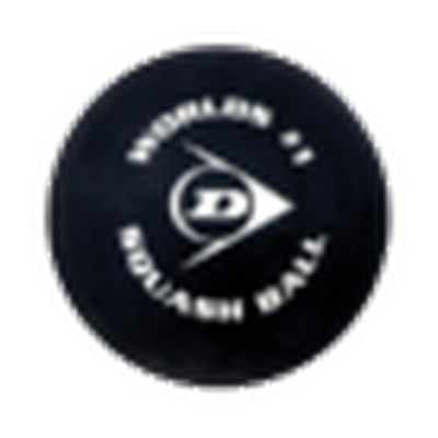 Logo Squashmere