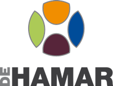 Logo De Hamar